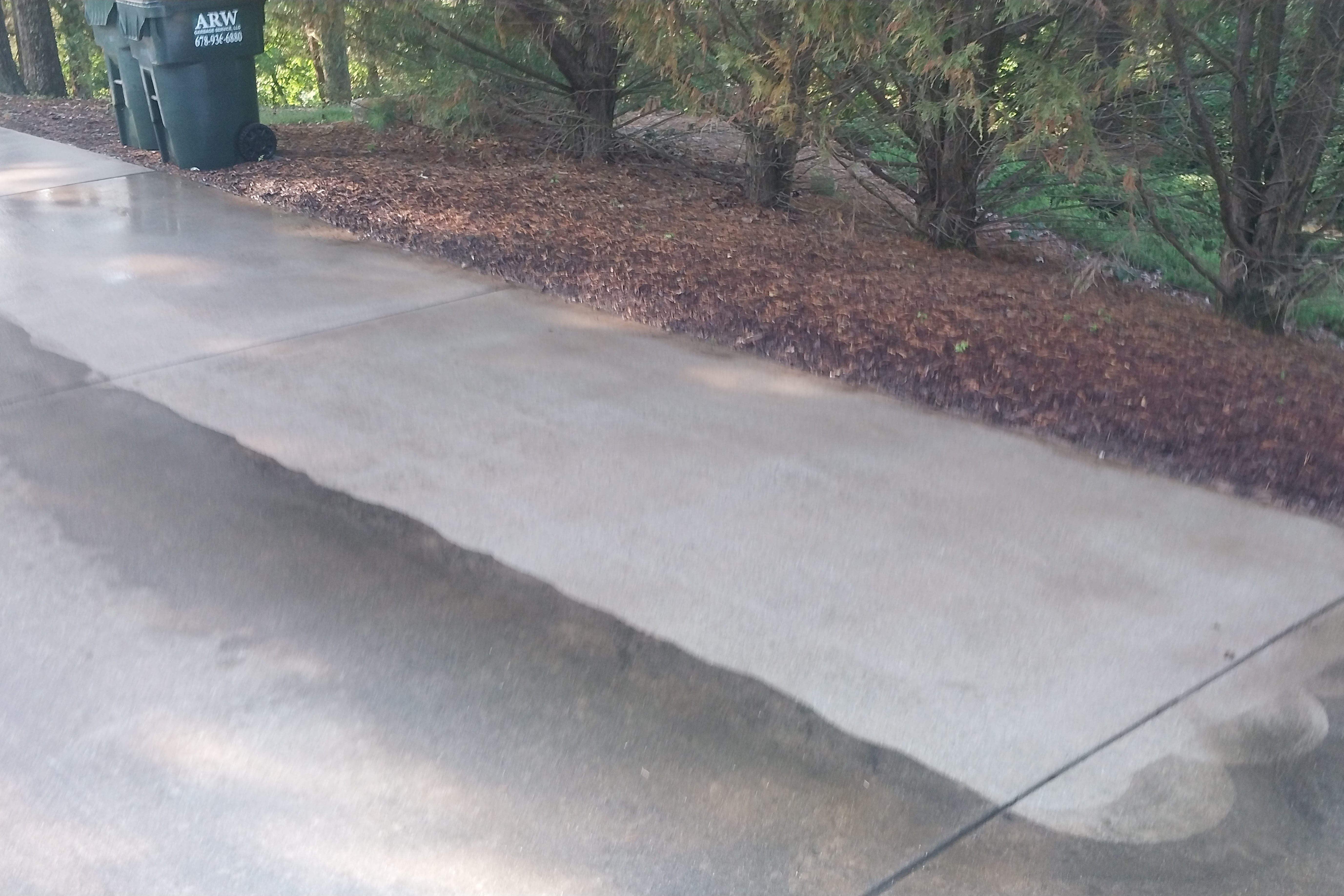 DAWSONVILLE, GA DRIVEWAY CLEANING JOB